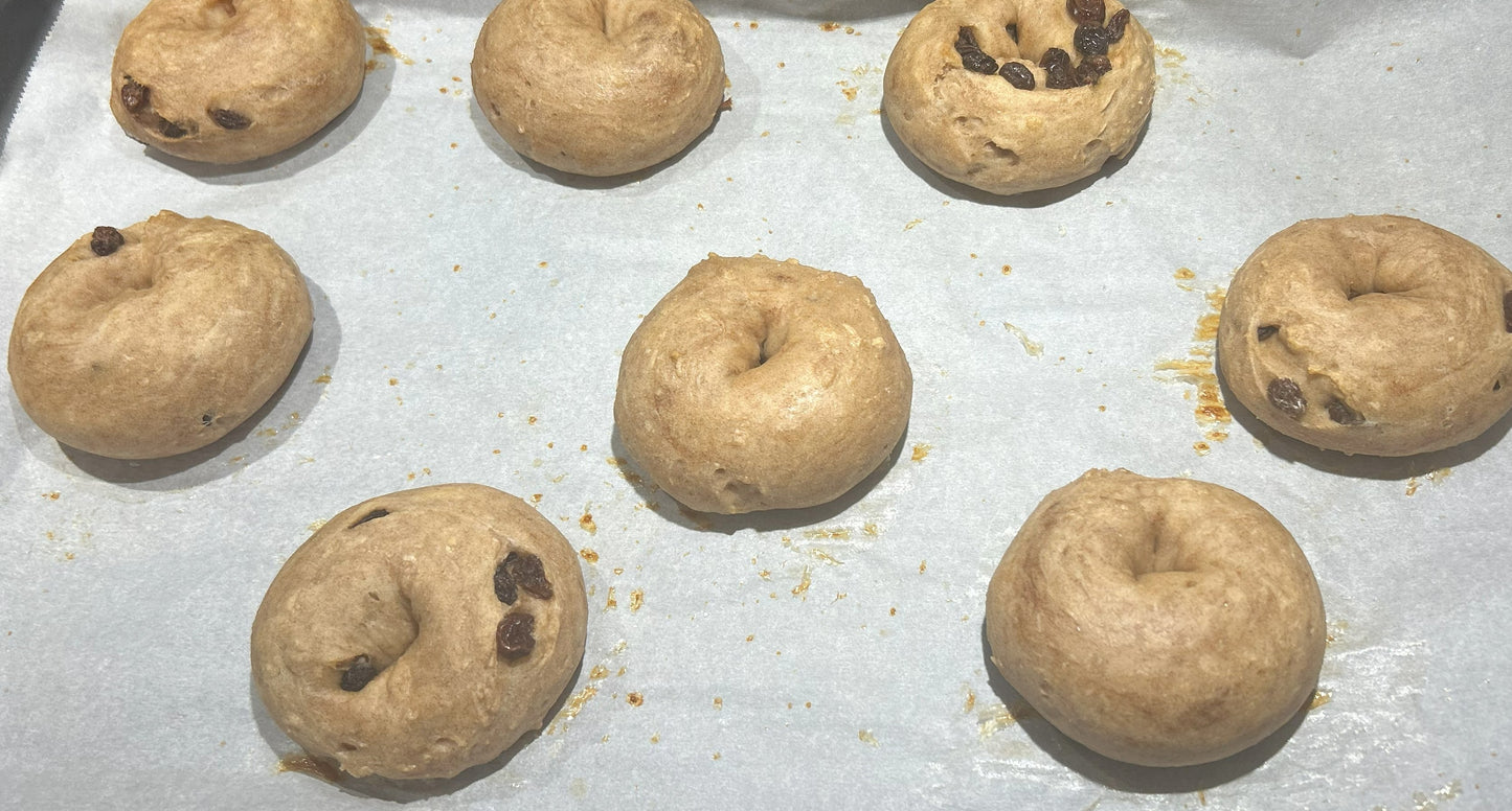 Protein bagel- Cinnamon raisin
