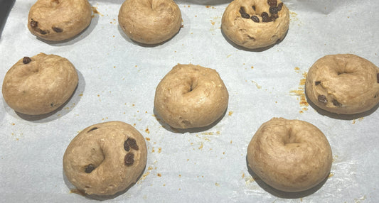 Protein bagel- Cinnamon raisin